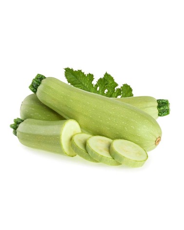 Graines courgettes blanches
