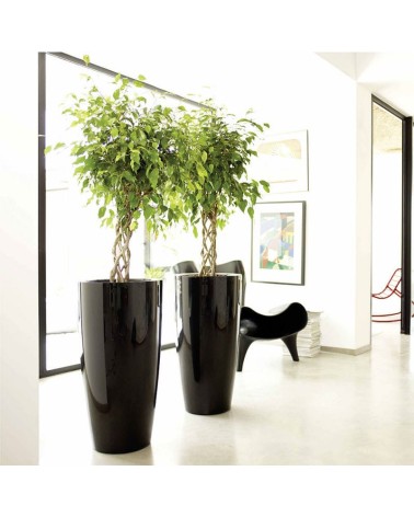 Pot En Résine noir brillant H 80 Cm